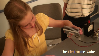 The Electric Ice Cube